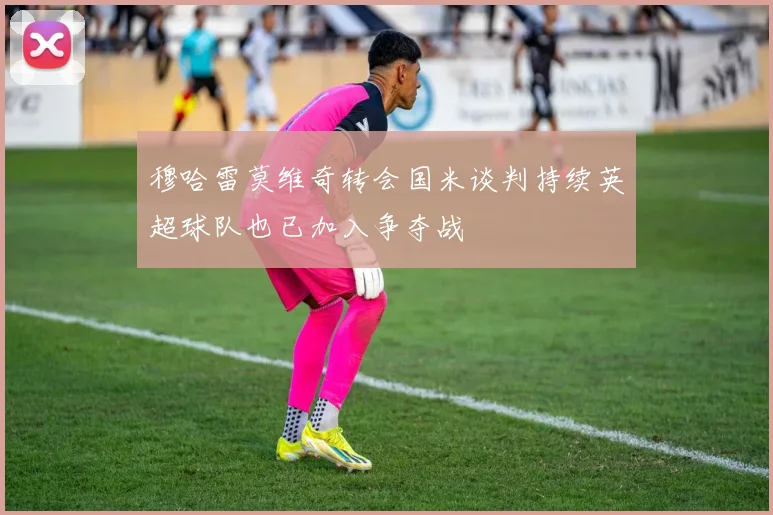 穆哈雷莫维奇转会国米谈判持续英超球队也已加入争夺战